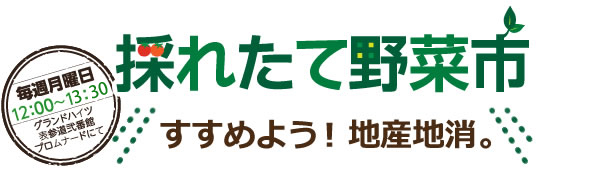 爽やかな風と、初夏の日射しの中で