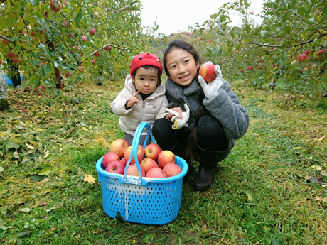 かごを前にしゃがんでいる子供2人