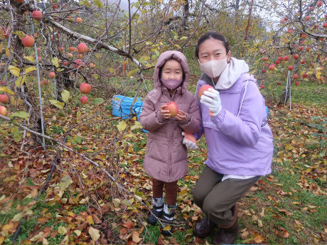 りんごの木オーナー収穫祭2021